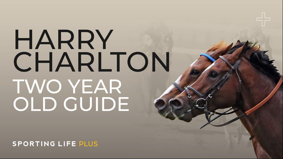Harry Charlton Two-Year-Old Guide