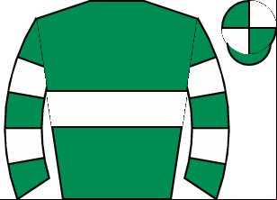 Horse silk