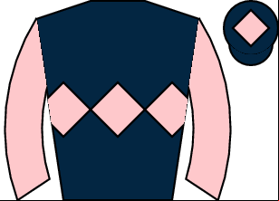 Horse silk