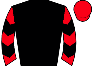 Horse silk