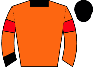 Horse silk