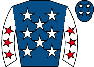 Horse silk