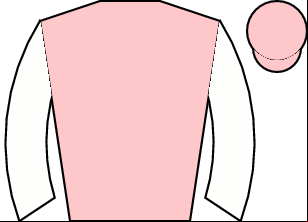 Horse silk