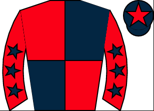 Horse silk