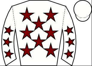 Horse silk
