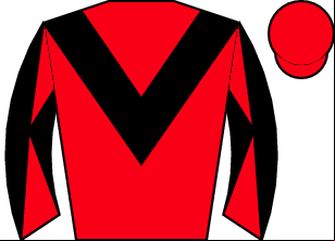 Horse silk