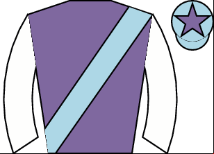 Horse silk