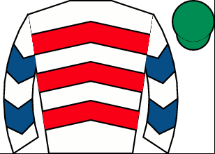 Horse silk