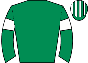 Horse silk