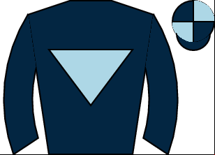 Horse silk