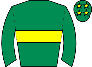 Horse silk
