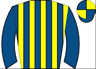 Horse silk
