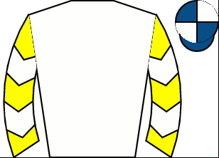 Horse silk