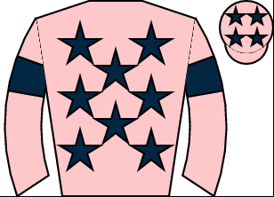 Horse silk