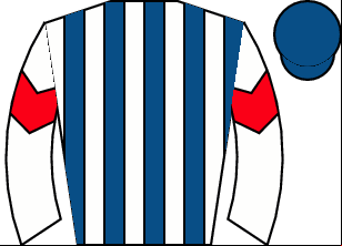 Horse silk