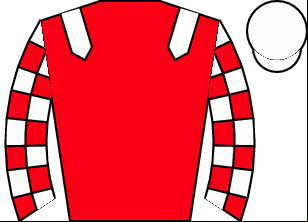 Horse silk