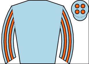 Horse silk