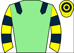 Horse silk
