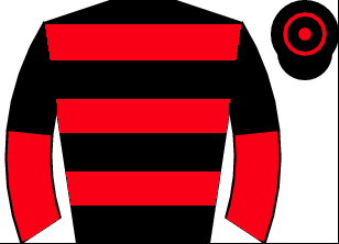 Horse silk