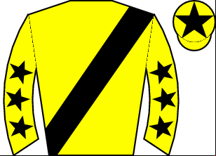 Horse silk