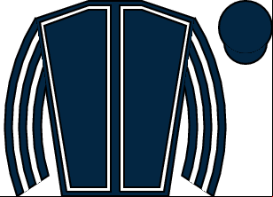 Horse silk