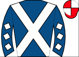 Horse silk