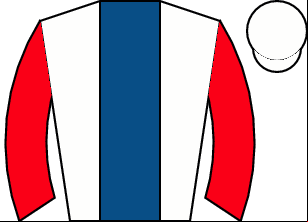 Horse silk