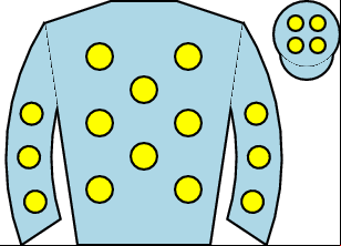 Horse silk