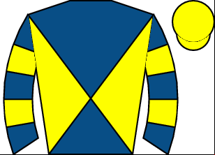 Horse silk