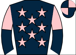 Horse silk