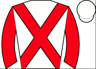 Horse silk