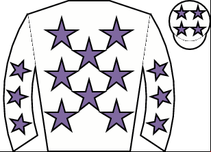 Horse silk