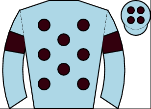Horse silk