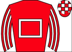 Horse silk