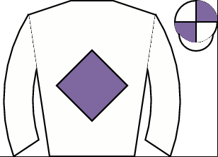 Horse silk