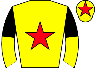 Horse silk