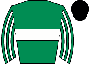 Horse silk