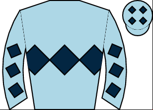 Horse silk